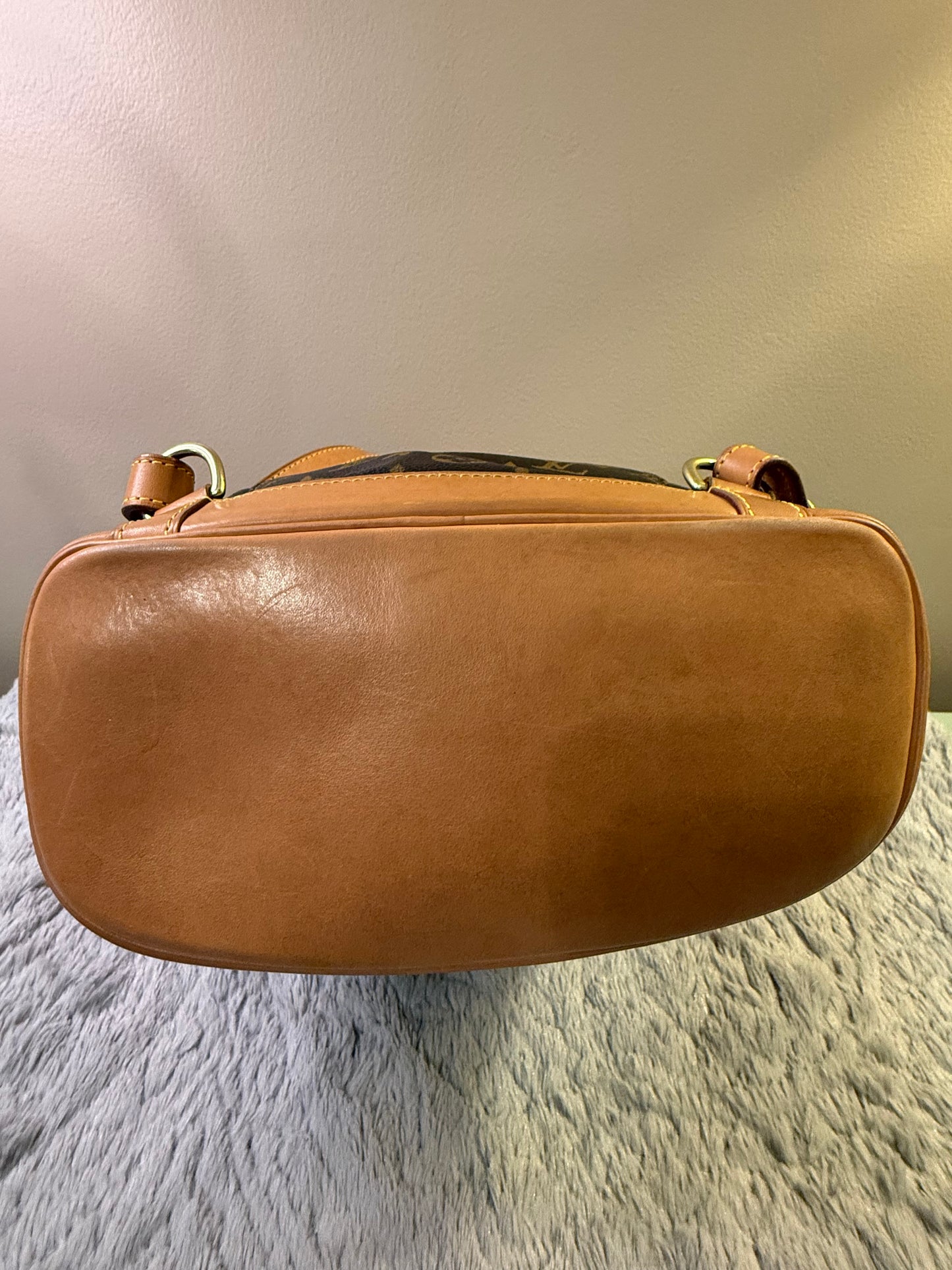 Louis Vuitton Montsouris MM Backpack
