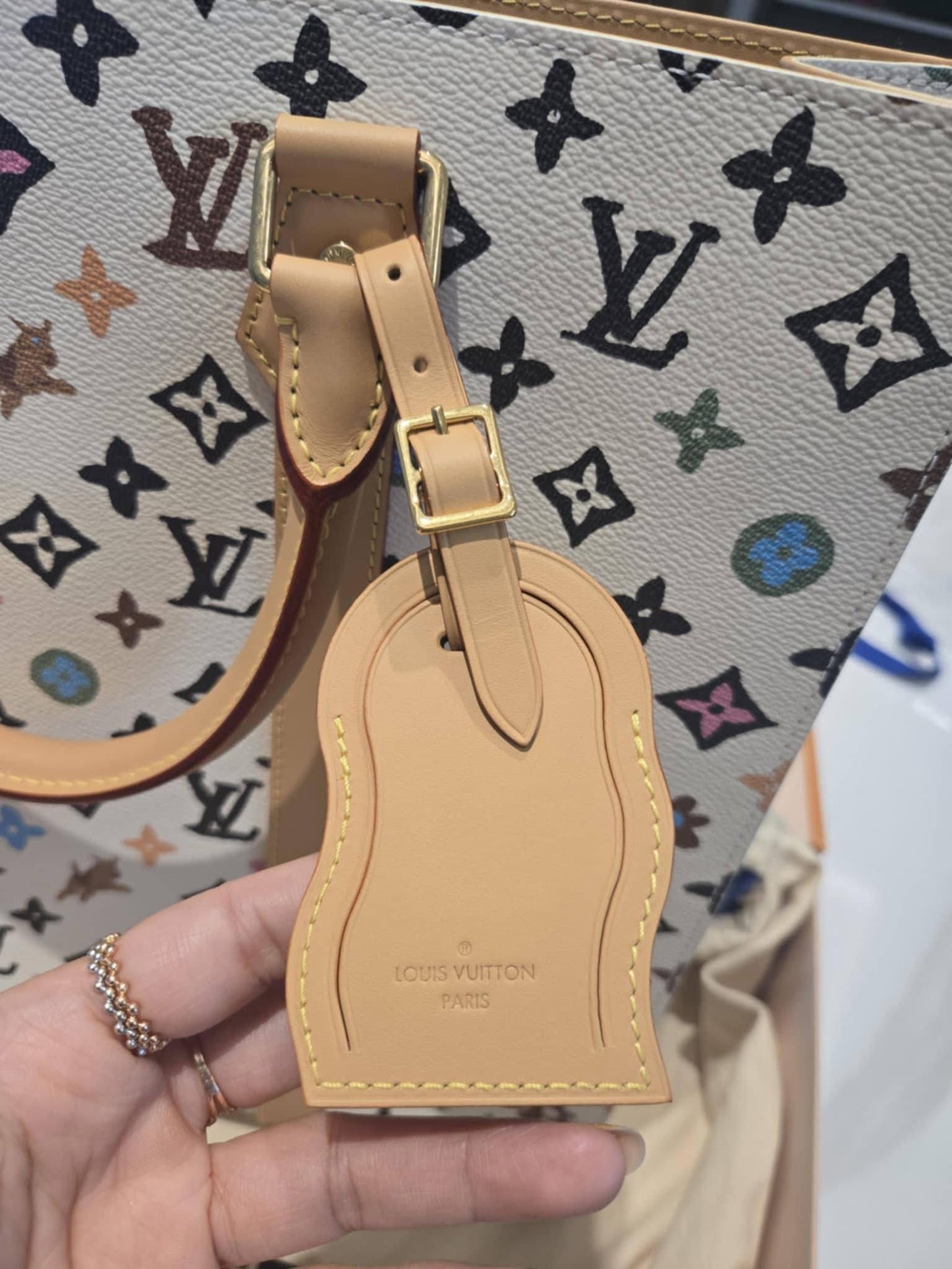 Louis Vuitton Tyler the Creator Craggy Sac Plat