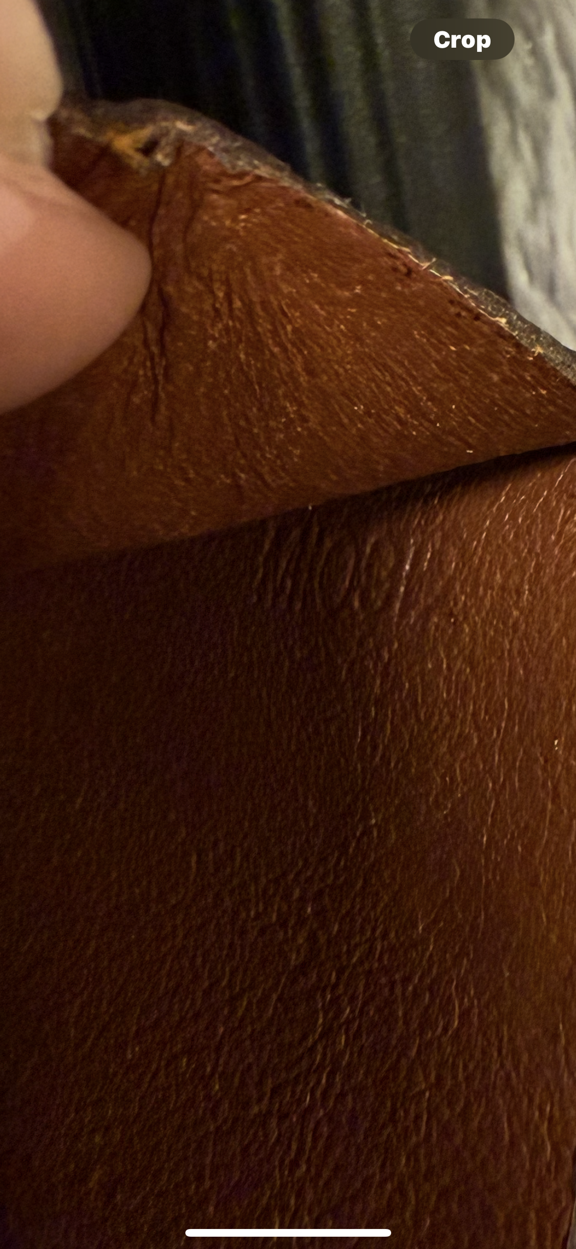Louis Vuitton Extra Large Travel Wallet/ Organizer