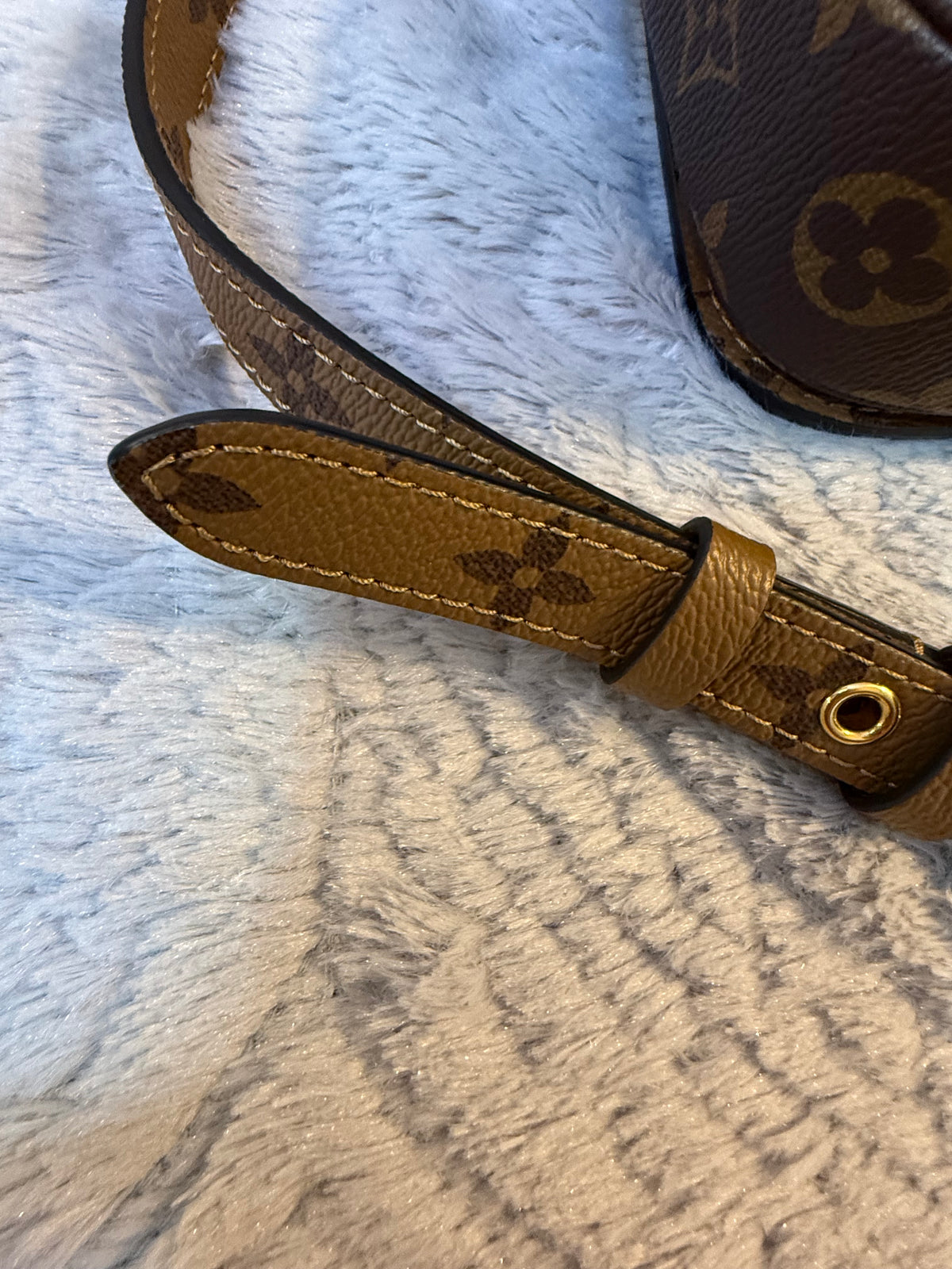 Louis Vuitton Monogram Reverse Pochette Métis