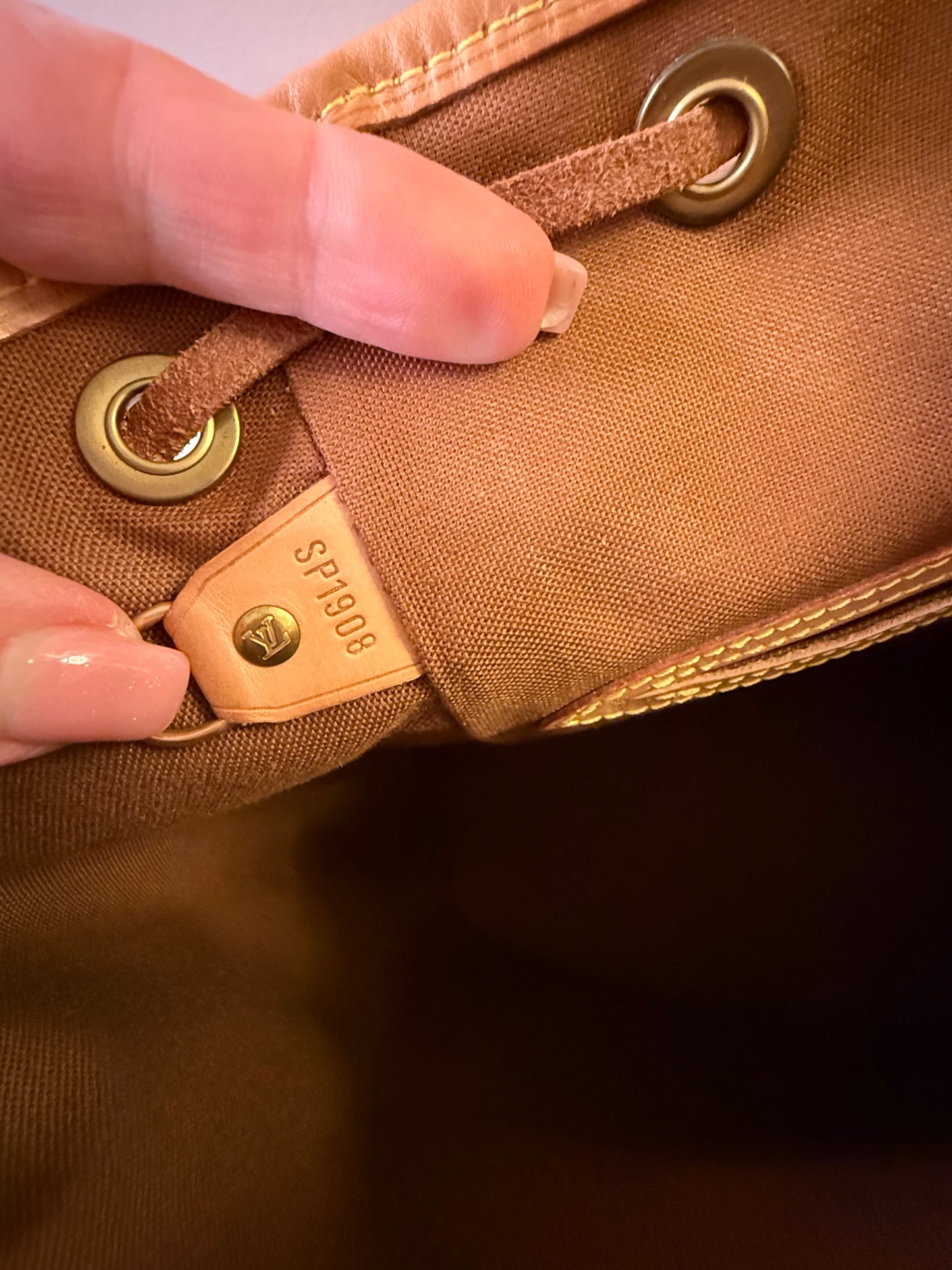 Louis Vuitton Montsouris MM Backpack