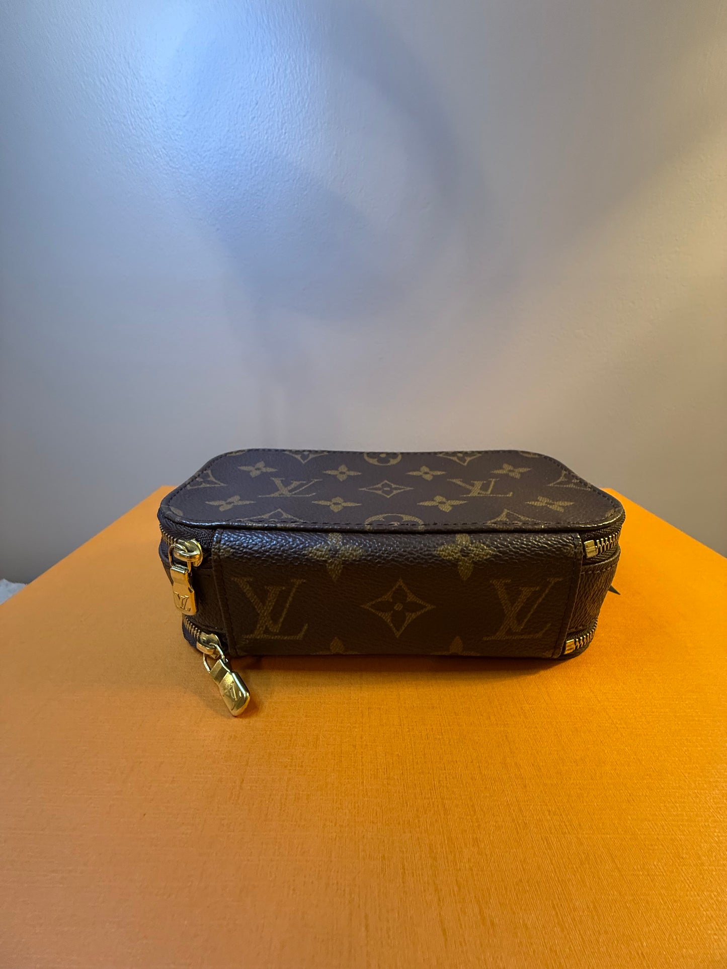 Louis Vuitton Blush PM Case