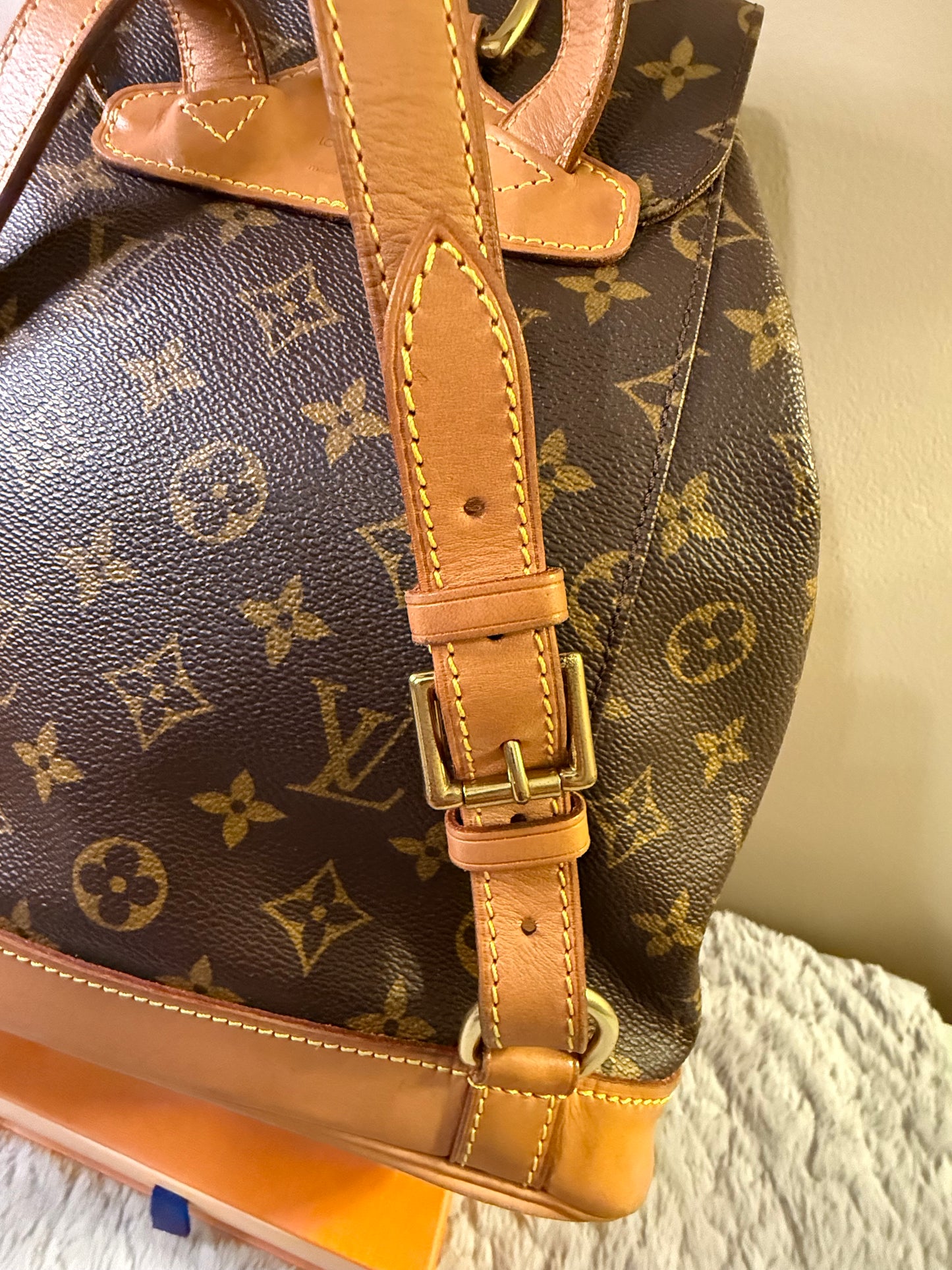 Louis Vuitton Montsouris MM Backpack