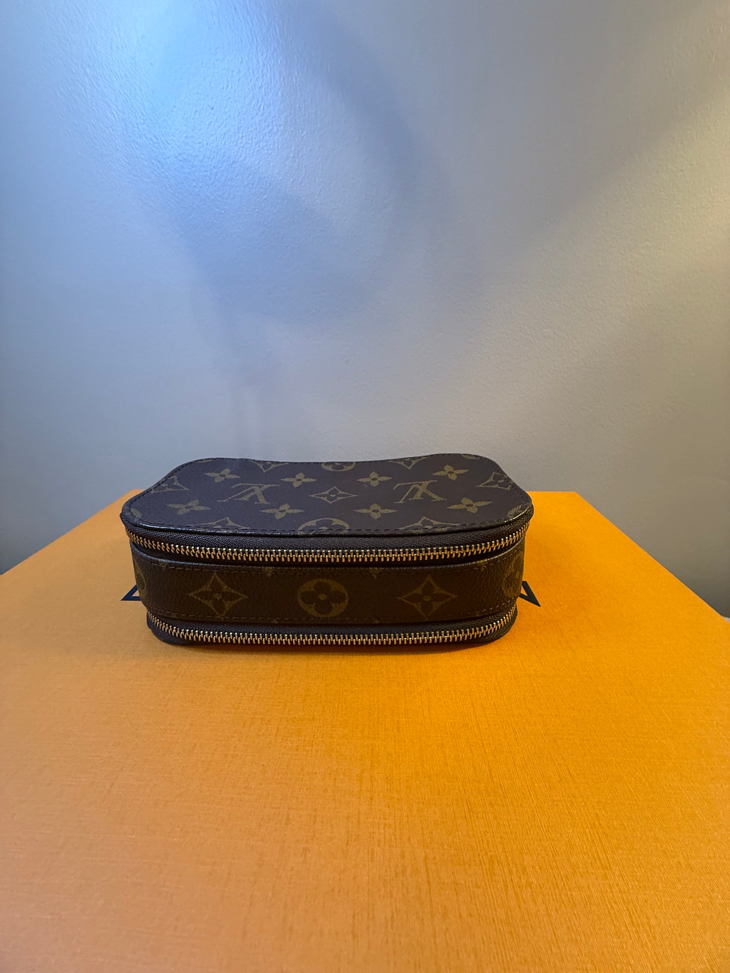 Louis Vuitton Blush PM Case