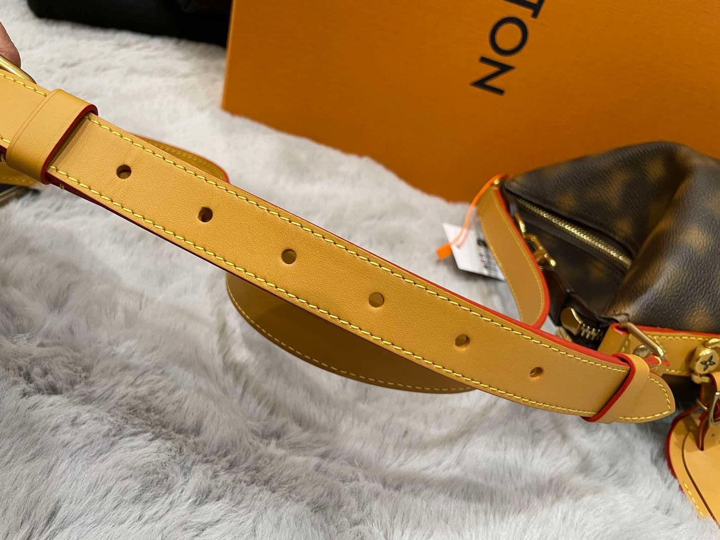 Louis Vuitton Limited Edition Hobo Cruiser PM Blurry Monogram
