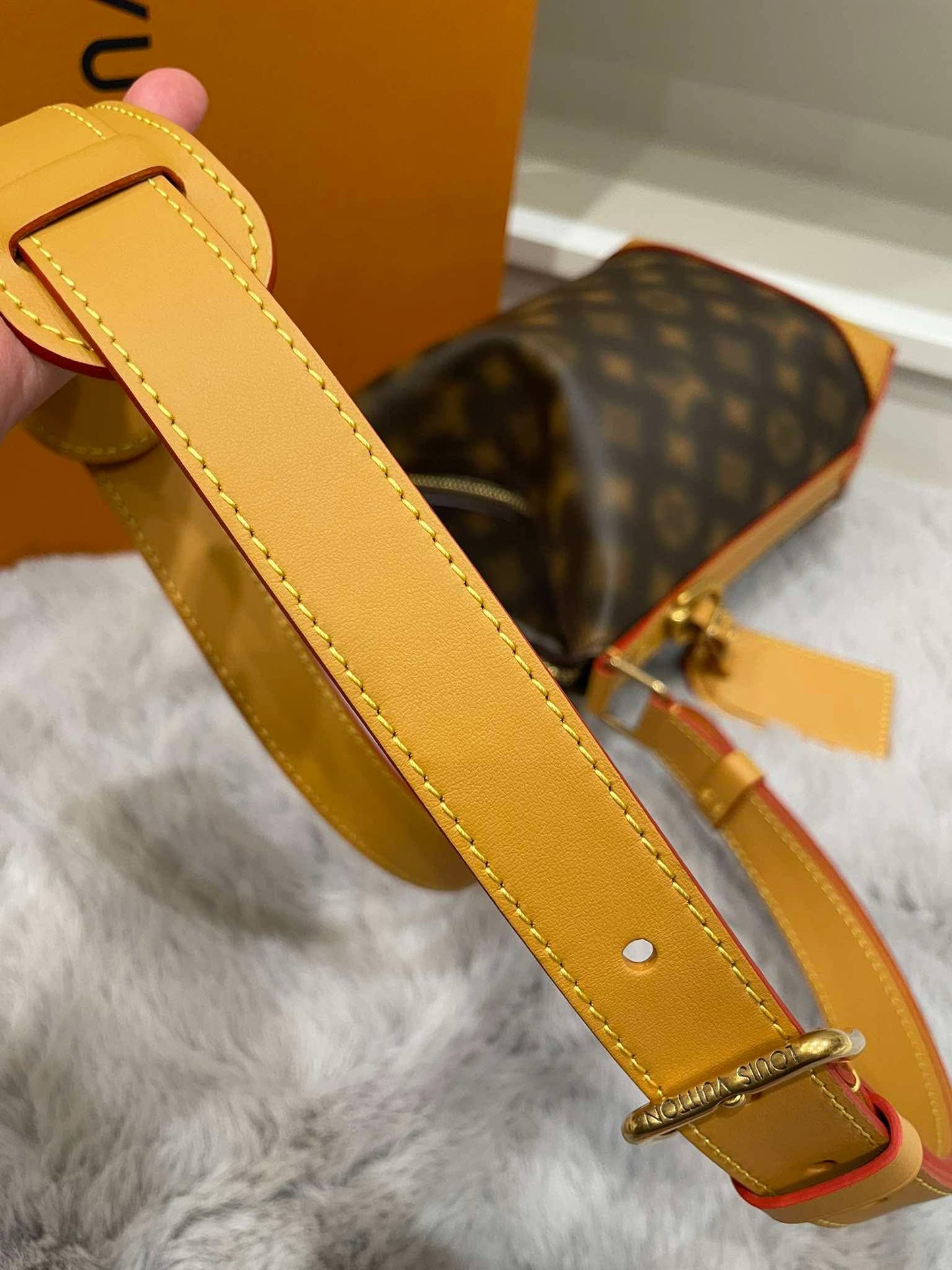 Louis Vuitton Limited Edition Hobo Cruiser PM Blurry Monogram