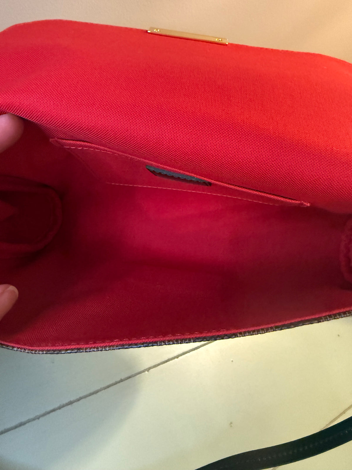 Louis Vuitton Favorite MM  A++ condition