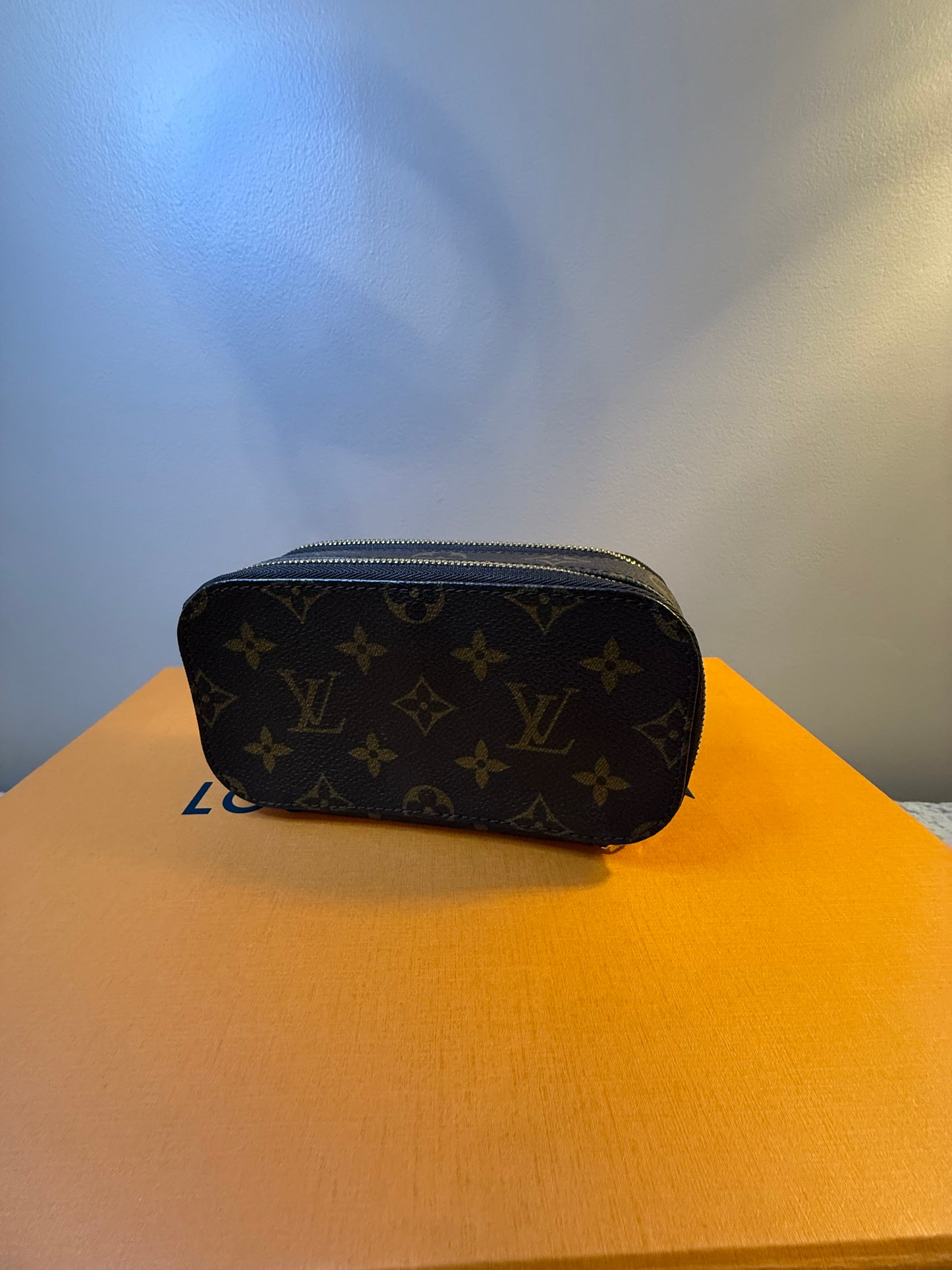 Louis Vuitton Blush PM Case