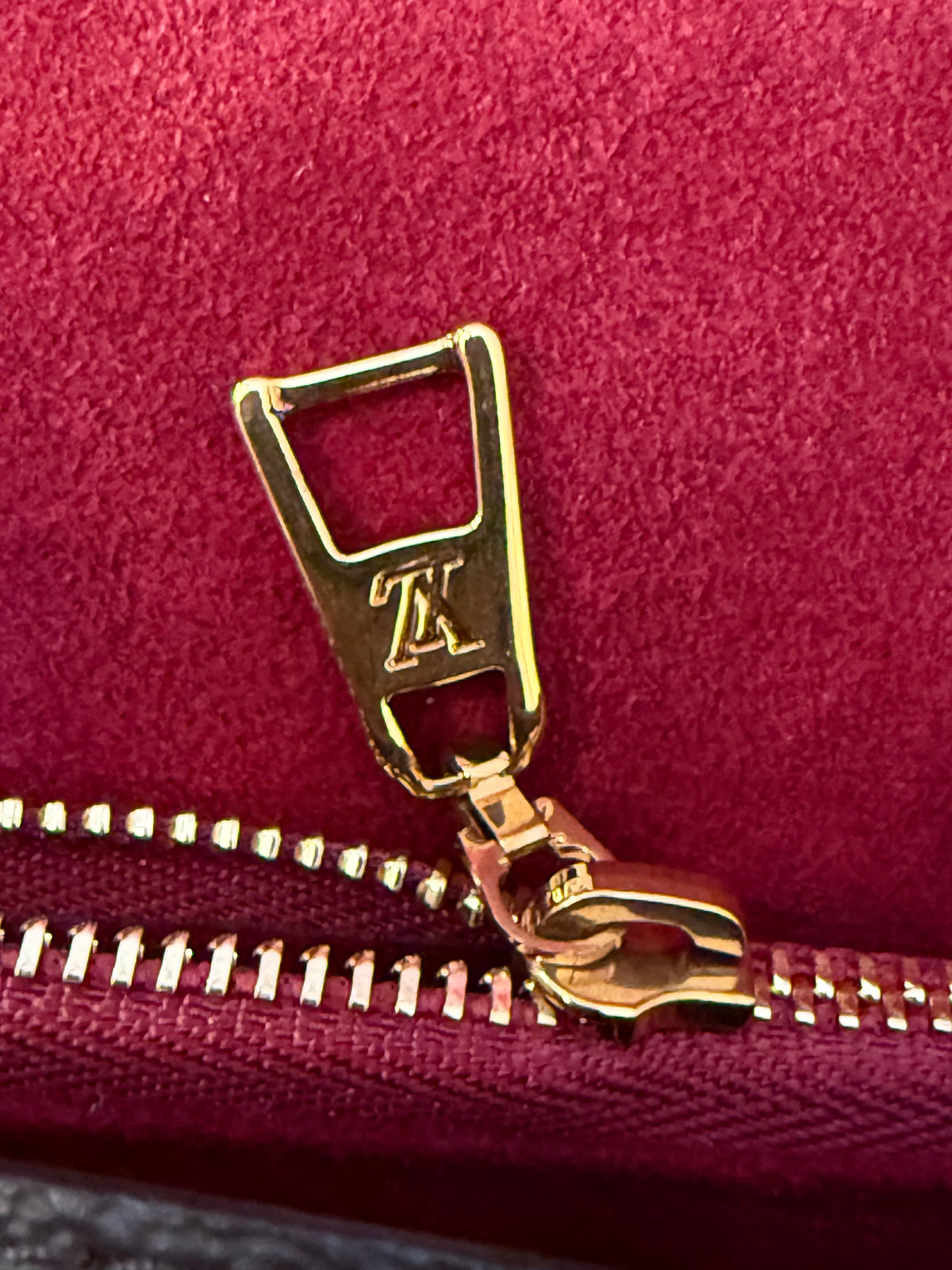 Louis Vuitton Monogram Passy