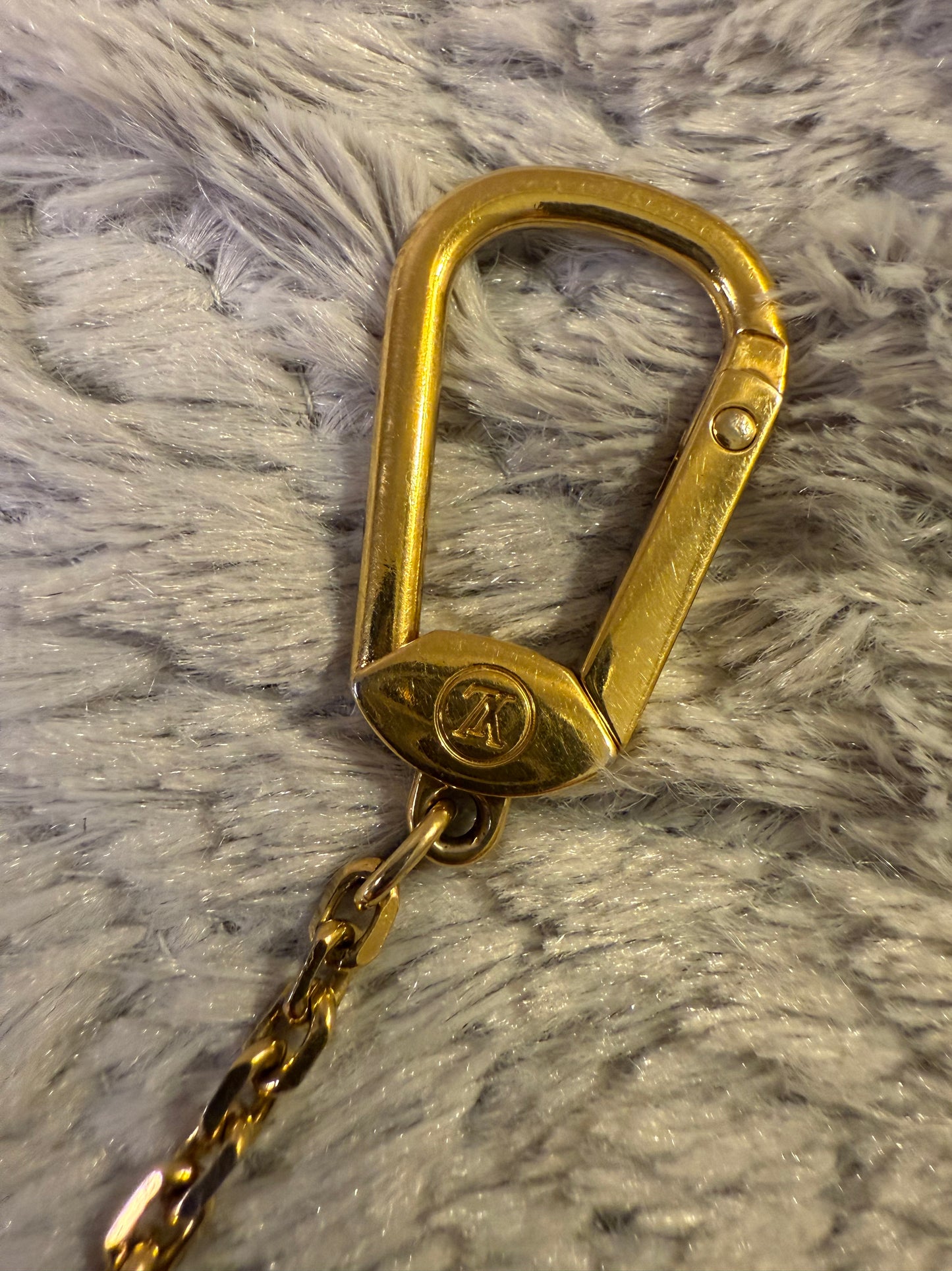 Louis Vuitton Multicolor Key Cles