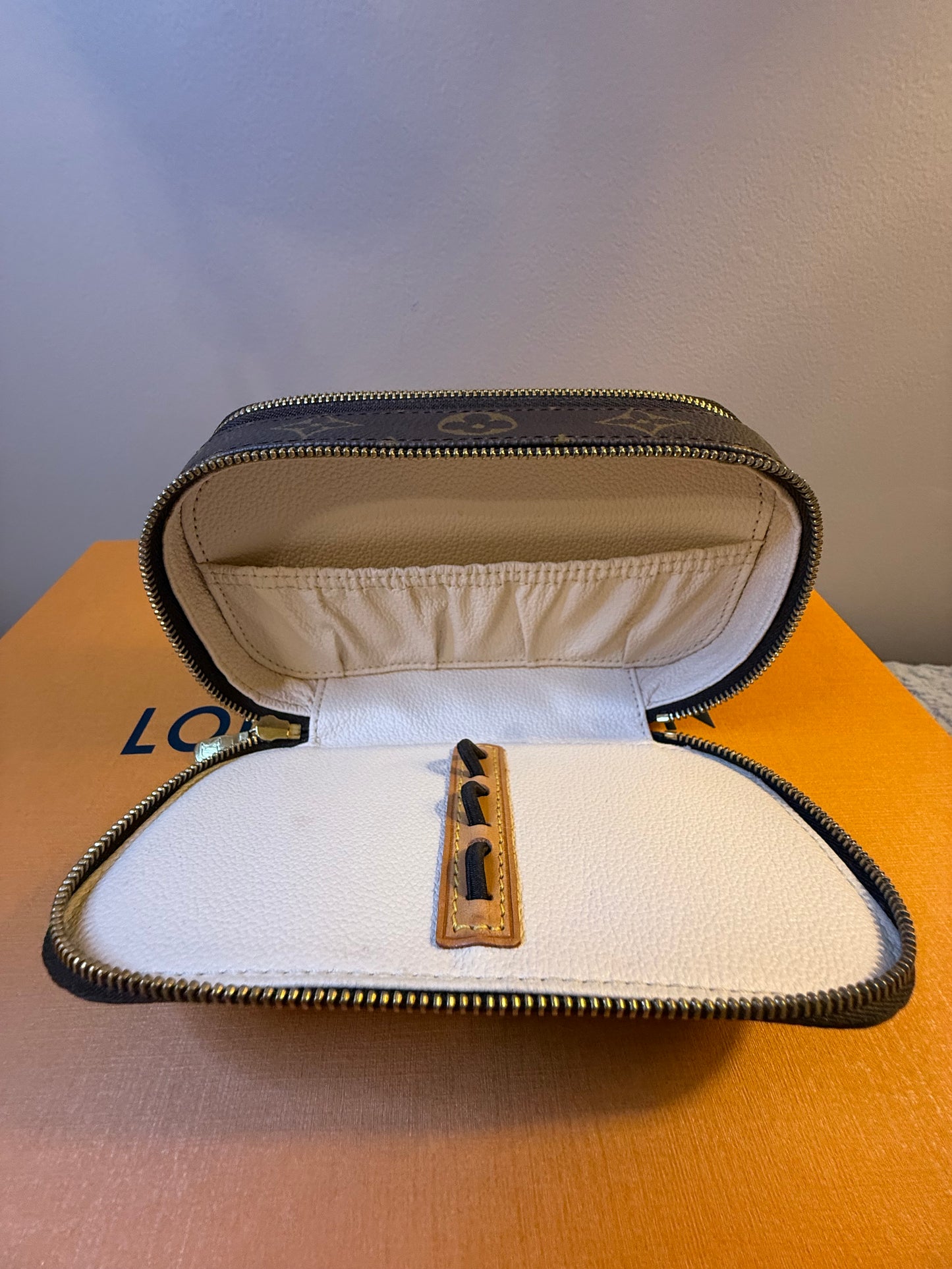 Louis Vuitton Blush PM Case