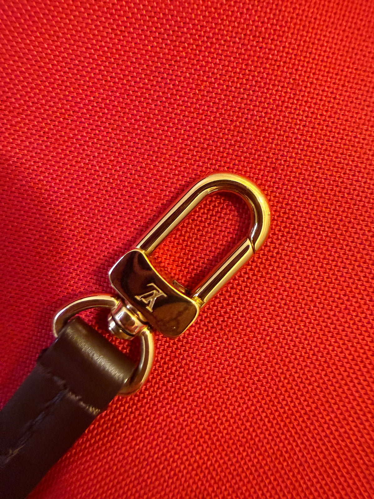 Louis Vuitton Favorite MM  A++ condition