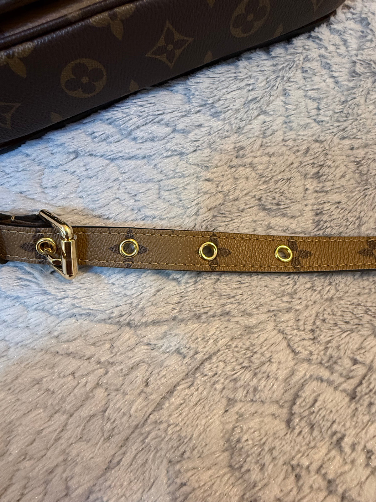 Louis Vuitton Monogram Reverse Pochette Métis