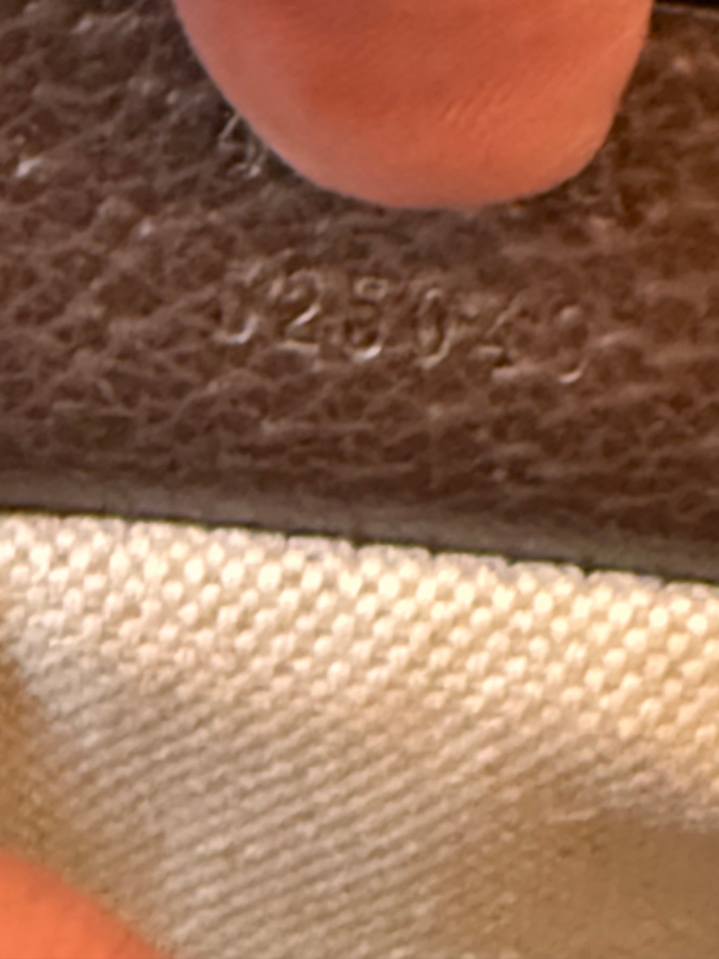 Gucci Kaleido Clutch and Crossbody Bag