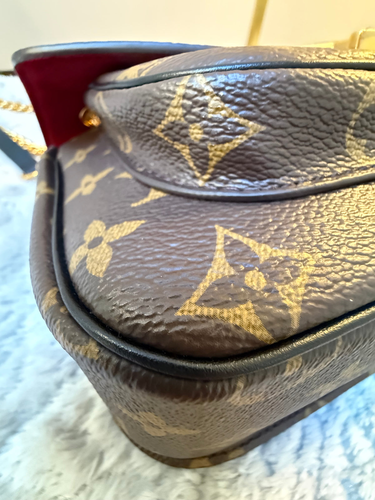 Louis Vuitton Monogram Passy
