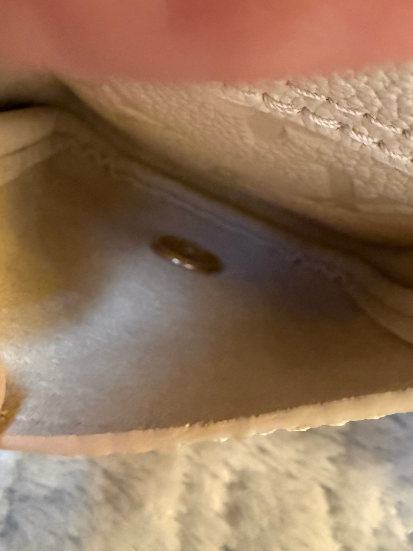 Louis Vuitton Backup Backpack