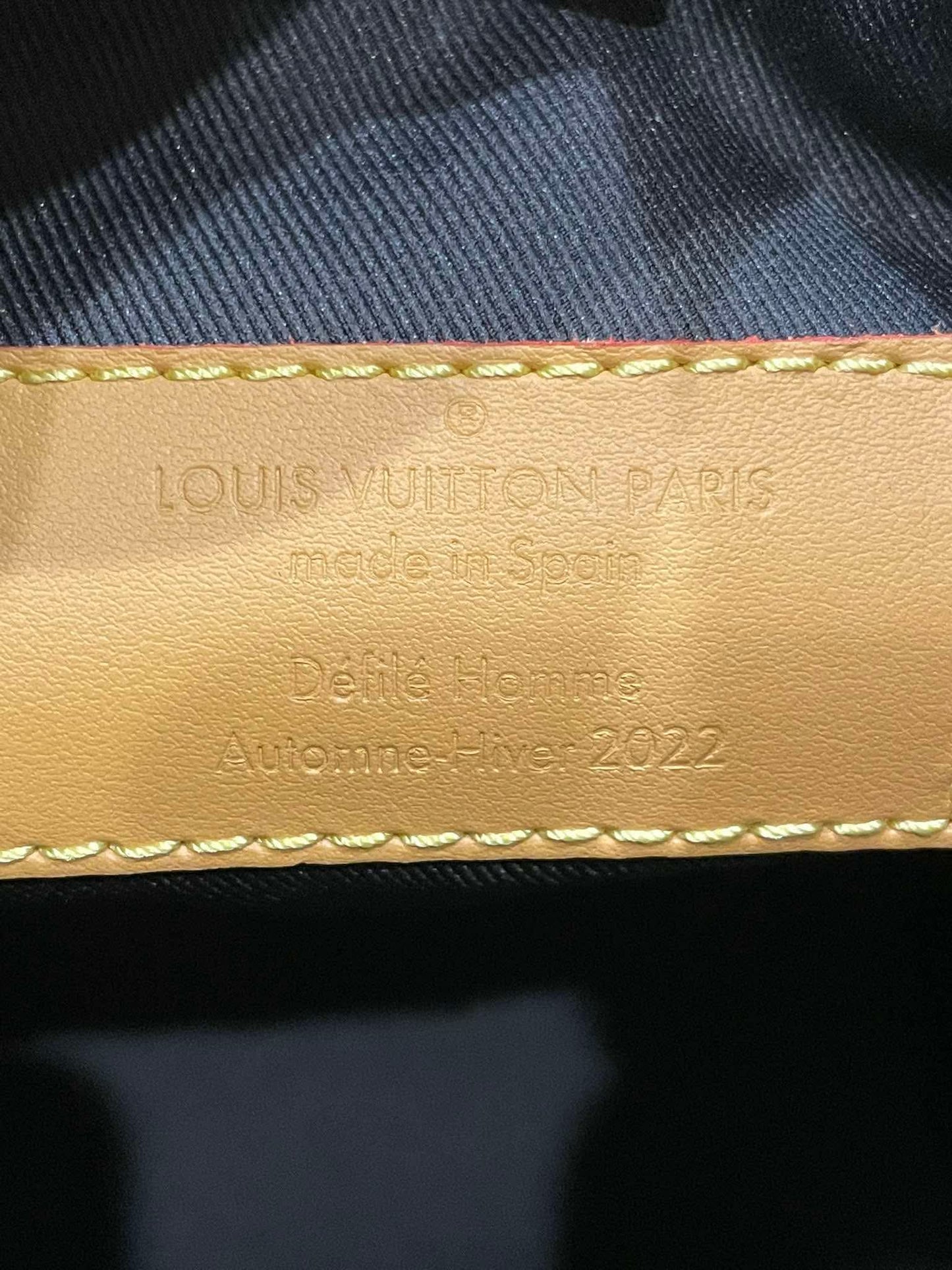 Louis Vuitton Limited Edition Hobo Cruiser PM Blurry Monogram